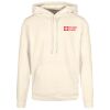 Basic hoodie Thumbnail